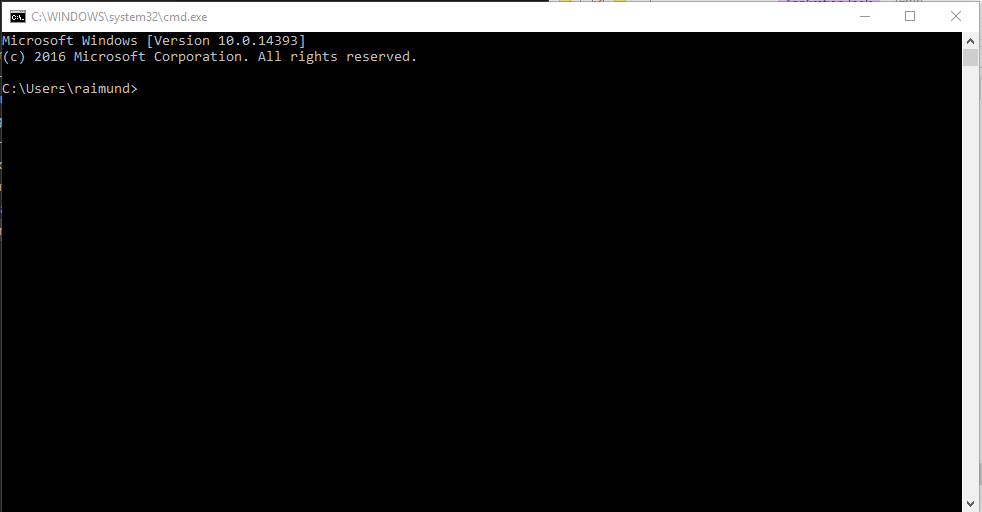 Bash with Hollywood Animated